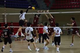 篮球火箭助教临场指挥表现亮眼